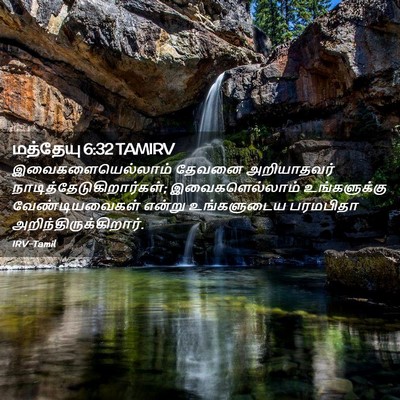 Picture 02 - மத்தேயு 6:32 TAMIRV - இவைகளையெல்லாம் - Bible Verse Picture