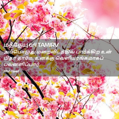 Picture 02 - மத்தேயு 6:4 TAMIRV - அப்பொழுது - Bible Verse Picture