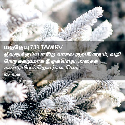 Picture 02 - மத்தேயு 7:14 TAMIRV - ஜீவனுக்குப்போகிற - Bible Verse Picture