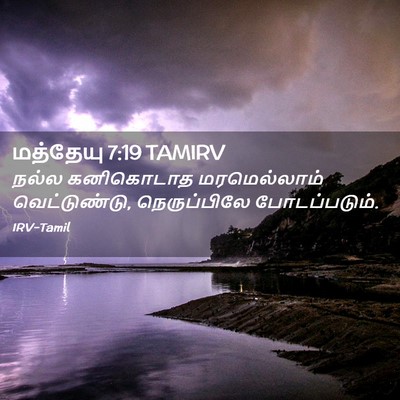 Picture 02 - மத்தேயு 7:19 TAMIRV - நல்ல கனிகொடாத - Bible Verse Picture