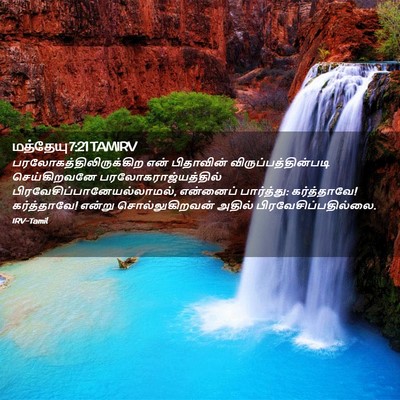 Picture 02 - மத்தேயு 7:21 TAMIRV -  - Bible Verse Picture