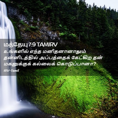 Picture 02 - மத்தேயு 7:9 TAMIRV - உங்களில் எந்த - Bible Verse Picture