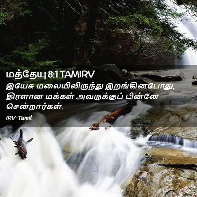 Picture 02 - மத்தேயு 8:1 TAMIRV - இயேசு - Bible Verse Picture