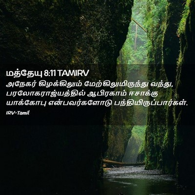 Picture 02 - மத்தேயு 8:11 TAMIRV - அநேகர் - Bible Verse Picture