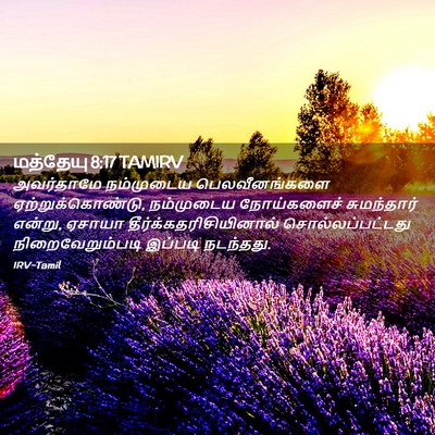 Picture 02 - மத்தேயு 8:17 TAMIRV - அவர்தாமே நம்முடைய - Bible Verse Picture