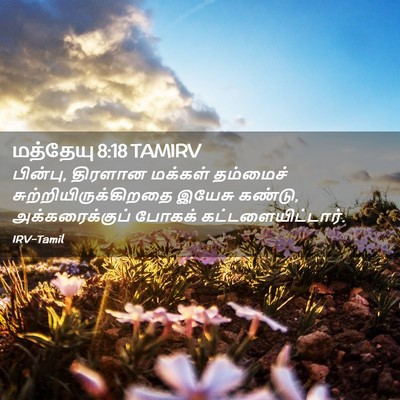 Picture 02 - மத்தேயு 8:18 TAMIRV - பின்பு, திரளான - Bible Verse Picture