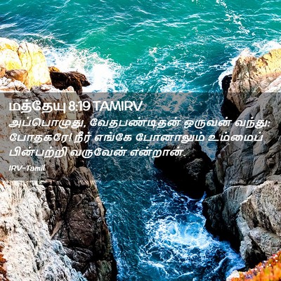 Picture 02 - மத்தேயு 8:19 TAMIRV - அப்பொழுது, - Bible Verse Picture