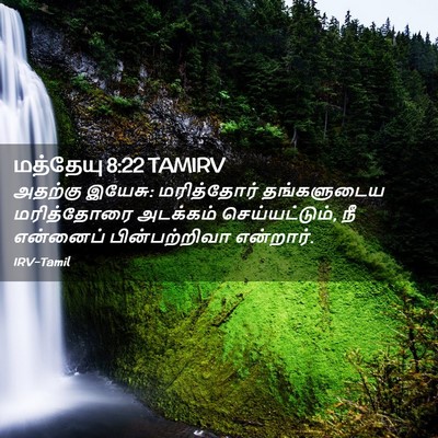 Picture 02 - மத்தேயு 8:22 TAMIRV - அதற்கு இயேசு: - Bible Verse Picture
