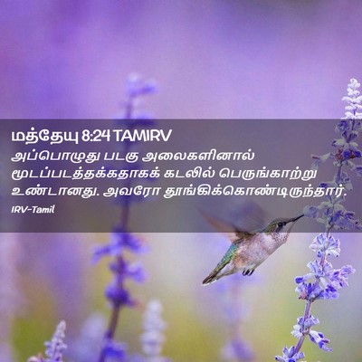 Picture 02 - மத்தேயு 8:24 TAMIRV - அப்பொழுது படகு - Bible Verse Picture