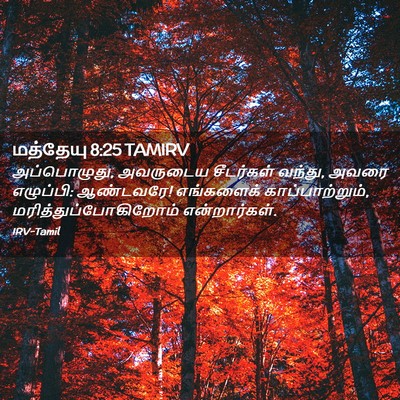 Picture 02 - மத்தேயு 8:25 TAMIRV - அப்பொழுது, - Bible Verse Picture