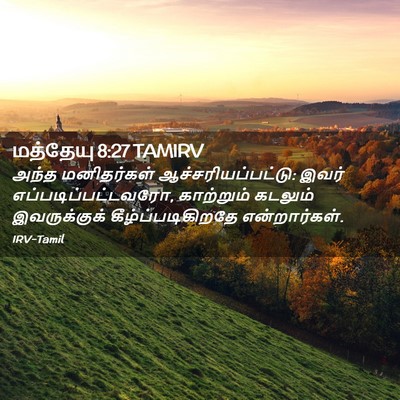 Picture 02 - மத்தேயு 8:27 TAMIRV - அந்த மனிதர்கள் - Bible Verse Picture