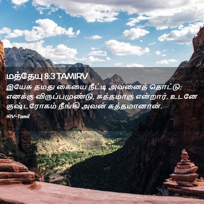 Picture 02 - மத்தேயு 8:3 TAMIRV - இயேசு தமது கையை - Bible Verse Picture
