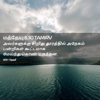 Picture 02 - மத்தேயு 8:30 TAMIRV - அவர்களுக்கு - Bible Verse Picture