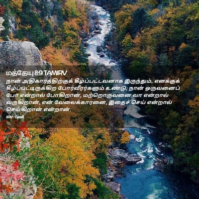 Picture 02 - மத்தேயு 8:9 TAMIRV - நான் - Bible Verse Picture