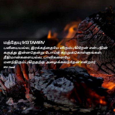 Picture 02 - மத்தேயு 9:13 TAMIRV - பலியையல்ல, - Bible Verse Picture