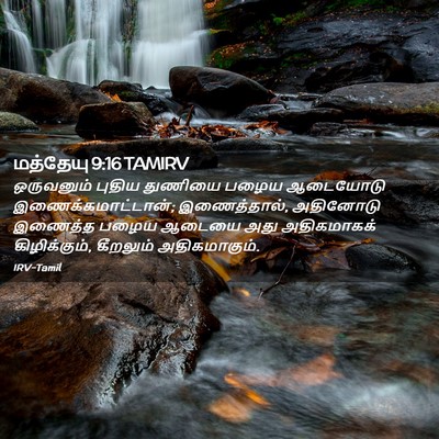 Picture 02 - மத்தேயு 9:16 TAMIRV - ஒருவனும் புதிய - Bible Verse Picture