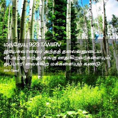 Picture 02 - மத்தேயு 9:23 TAMIRV - இயேசுவானவர் - Bible Verse Picture