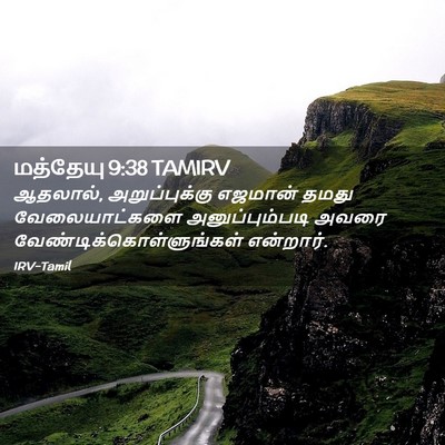 Picture 02 - மத்தேயு 9:38 TAMIRV - ஆதலால், - Bible Verse Picture