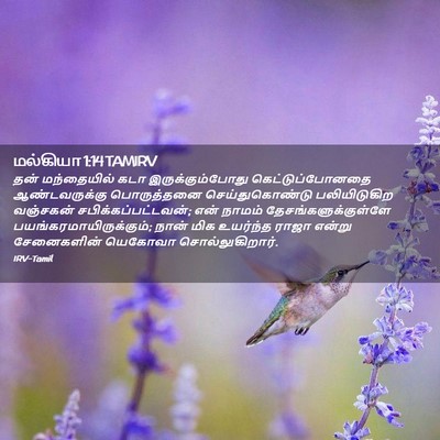 Picture 02 - மல்கியா 1:14 TAMIRV - தன் மந்தையில் கடா - Bible Verse Picture