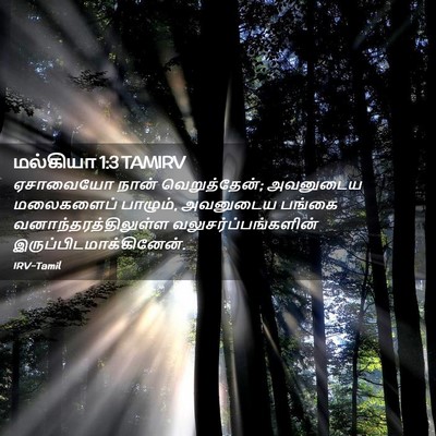 Picture 02 - மல்கியா 1:3 TAMIRV - ஏசாவையோ நான் - Bible Verse Picture