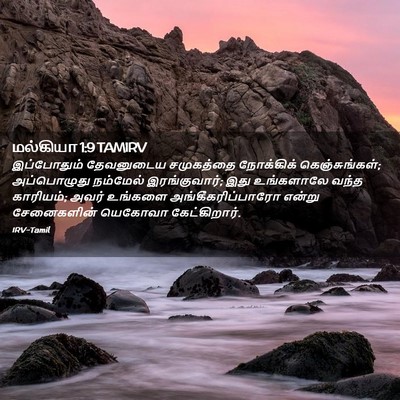 Picture 02 - மல்கியா 1:9 TAMIRV - இப்போதும் - Bible Verse Picture