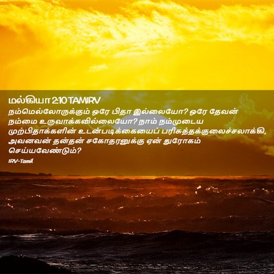 Picture 02 - மல்கியா 2:10 TAMIRV -  - Bible Verse Picture