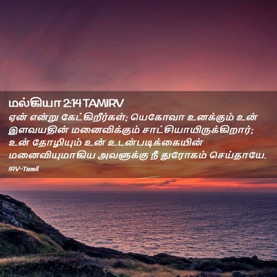 Picture 02 - மல்கியா 2:14 TAMIRV - ஏன் என்று - Bible Verse Picture