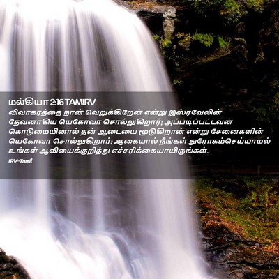 Picture 02 - மல்கியா 2:16 TAMIRV - விவாகரத்தை நான் - Bible Verse Picture