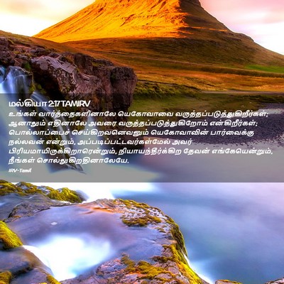 Picture 02 - மல்கியா 2:17 TAMIRV - உங்கள் - Bible Verse Picture