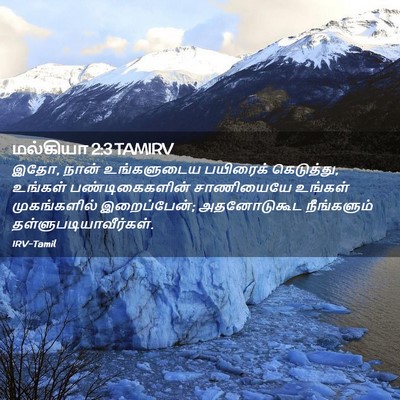 Picture 02 - மல்கியா 2:3 TAMIRV - இதோ, நான் - Bible Verse Picture