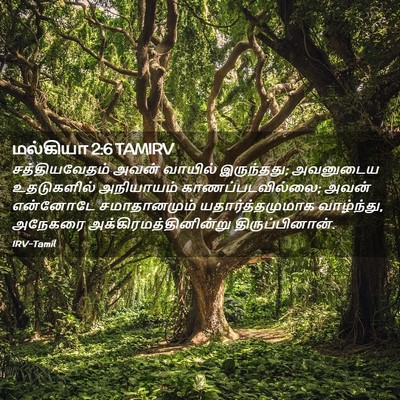 Picture 02 - மல்கியா 2:6 TAMIRV - சத்தியவேதம் அவன் - Bible Verse Picture