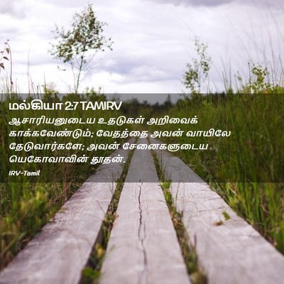 Picture 02 - மல்கியா 2:7 TAMIRV - ஆசாரியனுடைய - Bible Verse Picture