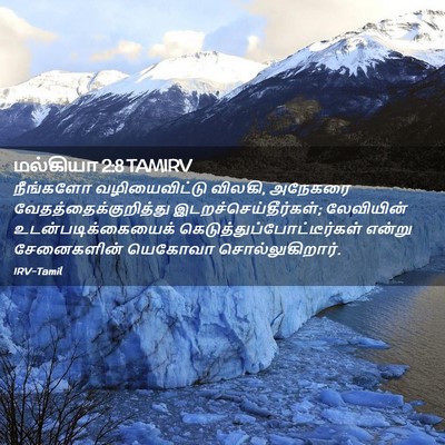 Picture 02 - மல்கியா 2:8 TAMIRV - நீங்களோ - Bible Verse Picture