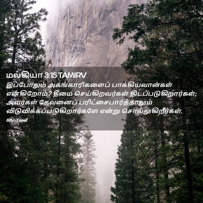 Picture 02 - மல்கியா 3:15 TAMIRV - இப்போதும் - Bible Verse Picture