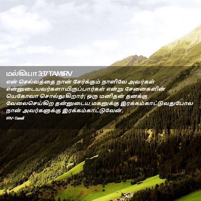 Picture 02 - மல்கியா 3:17 TAMIRV - என் செல்வத்தை - Bible Verse Picture