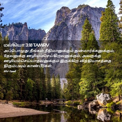 Picture 02 - மல்கியா 3:18 TAMIRV - அப்பொழுது நீங்கள் - Bible Verse Picture
