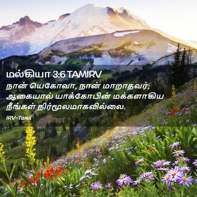 Picture 02 - மல்கியா 3:6 TAMIRV - நான் யெகோவா, நான் - Bible Verse Picture