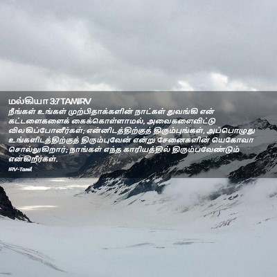 Picture 02 - மல்கியா 3:7 TAMIRV - நீங்கள் உங்கள் - Bible Verse Picture
