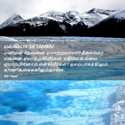 Picture 02 - மல்கியா 3:8 TAMIRV - மனிதன் தேவனை - Bible Verse Picture