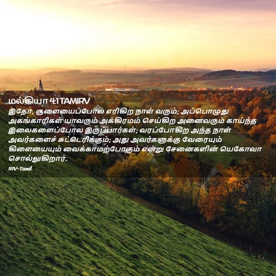 Picture 02 - மல்கியா 4:1 TAMIRV - இதோ, சூளையைப்போல - Bible Verse Picture