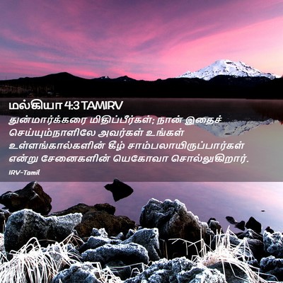Picture 02 - மல்கியா 4:3 TAMIRV - துன்மார்க்கரை - Bible Verse Picture