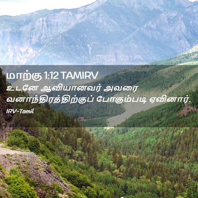 Picture 02 - மாற்கு 1:12 TAMIRV - உடனே ஆவியானவர் - Bible Verse Picture