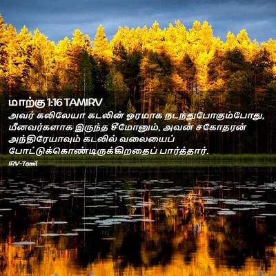 Picture 02 - மாற்கு 1:16 TAMIRV - அவர் கலிலேயா - Bible Verse Picture