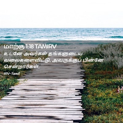 Picture 02 - மாற்கு 1:18 TAMIRV - உடனே அவர்கள் - Bible Verse Picture