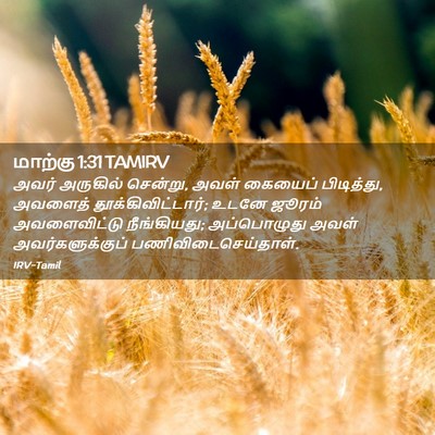 Picture 02 - மாற்கு 1:31 TAMIRV - அவர் அருகில் - Bible Verse Picture
