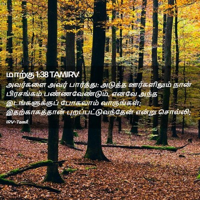 Picture 02 - மாற்கு 1:38 TAMIRV - அவர்களை அவர் - Bible Verse Picture