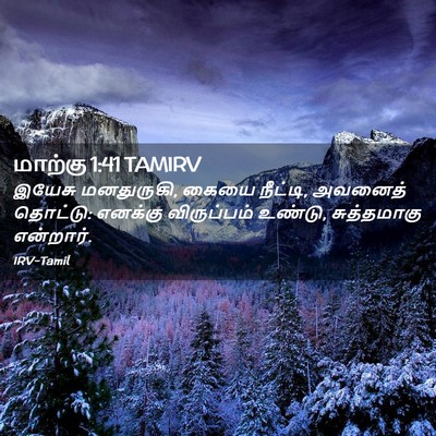 Picture 02 - மாற்கு 1:41 TAMIRV - இயேசு மனதுருகி, - Bible Verse Picture