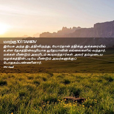 Picture 02 - மாற்கு 10:1 TAMIRV - இயேசு அந்த - Bible Verse Picture