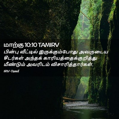 Picture 02 - மாற்கு 10:10 TAMIRV - பின்பு வீட்டில் - Bible Verse Picture
