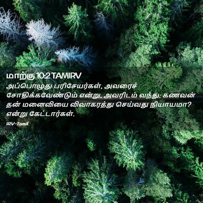 Picture 02 - மாற்கு 10:2 TAMIRV - அப்பொழுது - Bible Verse Picture